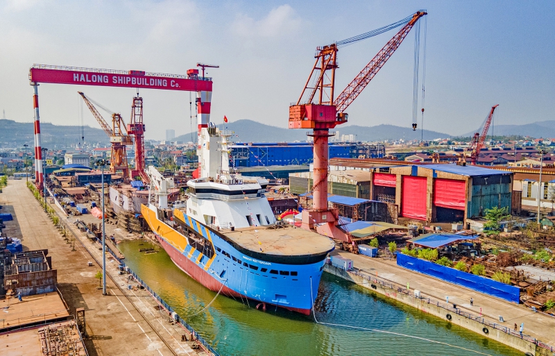 Vận tải biển toàn cầu giảm tốc, doanh nghiệp Việt tăng tốc đầu tư