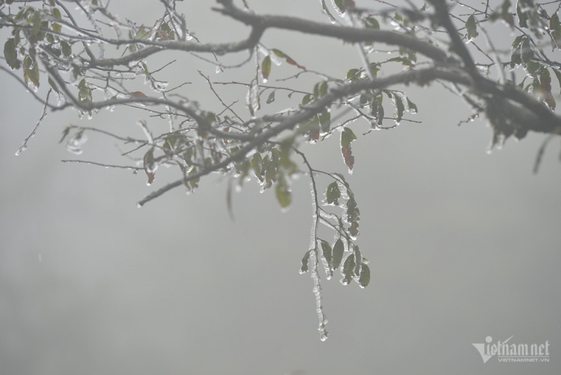 Du lịch Thủ đô chuẩn bị nhiều chương trình, hoạt động hấp dẫn thu hút khách dịp Tết