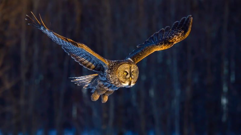 Kinh tế nhiều biến số, doanh nghiệp lớn ưu tiên CEO dày kinh nghiệm