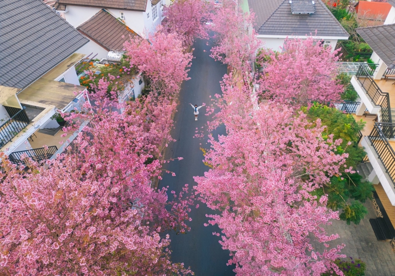 Kết nối giao thương giữa doanh nghiệp du lịch Việt Nam và quốc tế