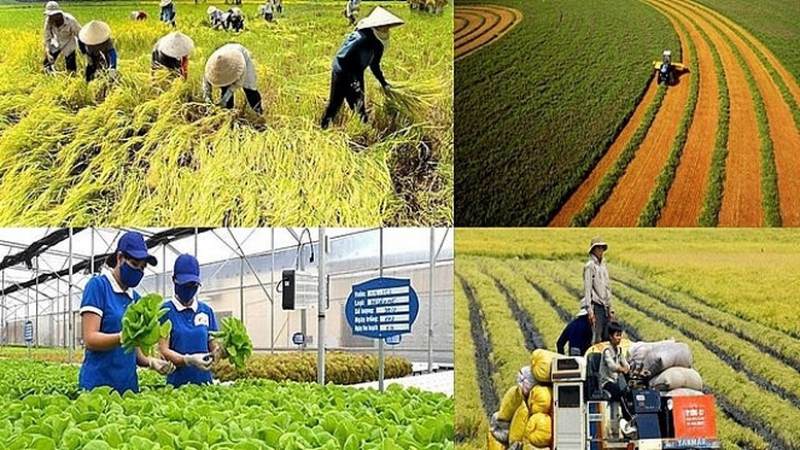 Doanh nghiệp tư nhân cần được trao cơ hội để trở thành lực lượng nòng cốt của nền kinh tế