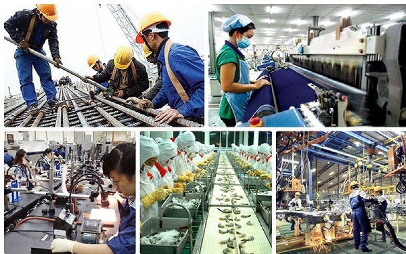 Kết nối đội ngũ trí thức, chuyên gia, DN Việt với các chương trình phát triển trong nước