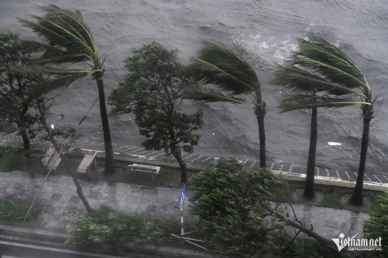 Áp thấp nhiệt đới có thể mạnh lên thành bão, đề nghị 21 tỉnh, thành phố sẵn sàng ứng phó